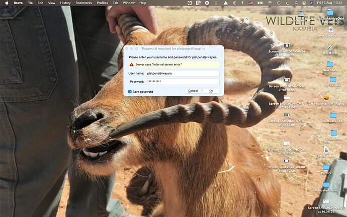 Screen Shot 2024-08-16 at 13.41.53