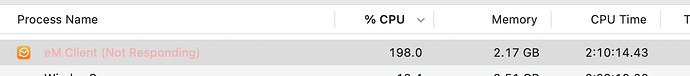 eM Client MBP first access after idle 041025