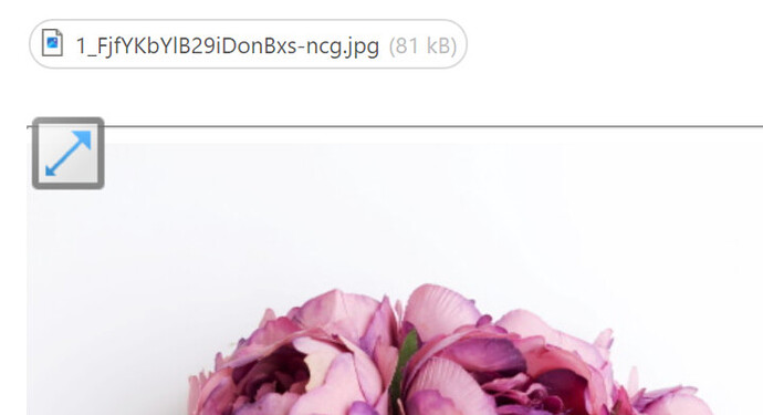 Image attachment displayed below email message body with resize icon in top-left corner.