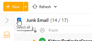 MailClient_2024-07-25_11-32-10