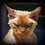Joe_Silver1