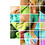 Liraz_Shaka_Amir