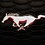 mustangace