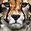 speedingcheetah